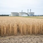 Why Nuclear Waste Poses Risks to Alberta Agriculture and Rural Communities