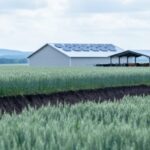 What Are Canada’s Environmental Issues in Agriculture (and How Do They Work)?